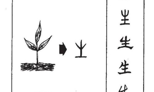 宝宝3个月 脸上长粉刺网 - 为你提供三个月宝宝脸上长点点、宝宝3个月 脸上长粉刺怎么办