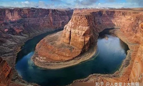 鲜人参炖鸡汤的做法
